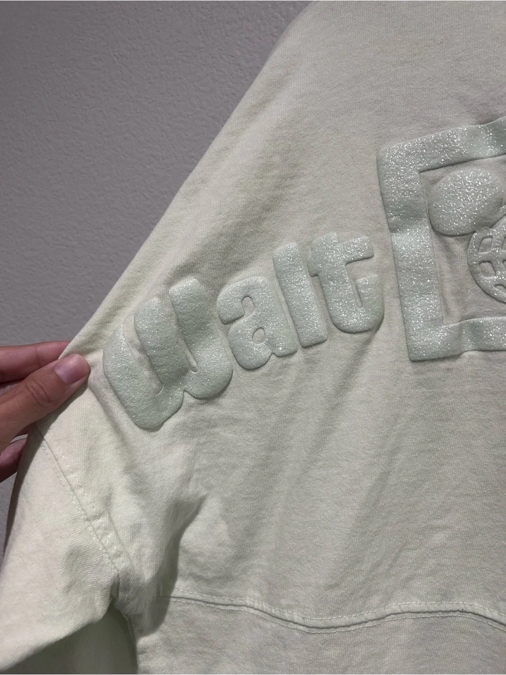 Disney world Light Mint Embossed Logo spirit jersey mint medium